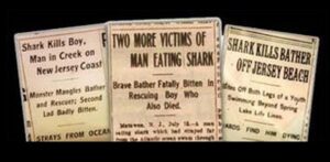 Shark Headlines