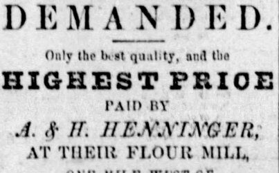 Henninger-Wheat_small