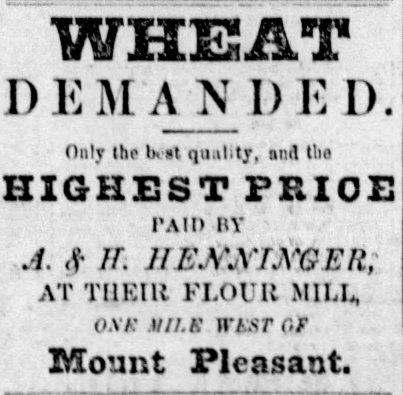 Henninger-Wheat_small